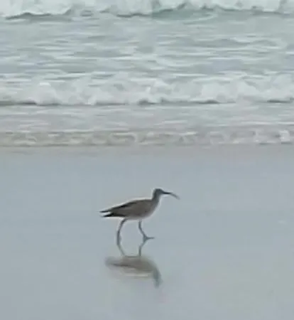 Escapade En Bretagne